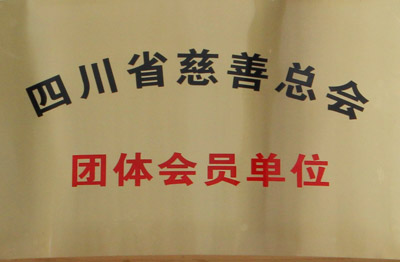 成都华西棕南精神科荣誉资质