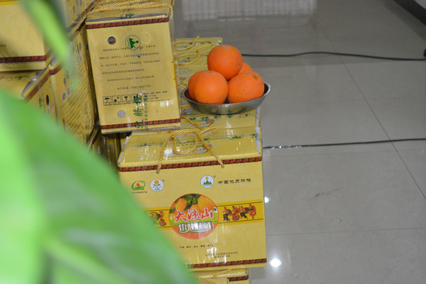 成都华西棕南精神科