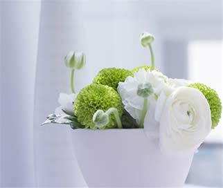 神经经官能症病因