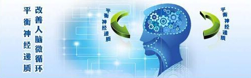 华西棕南脑平衡绿色体系